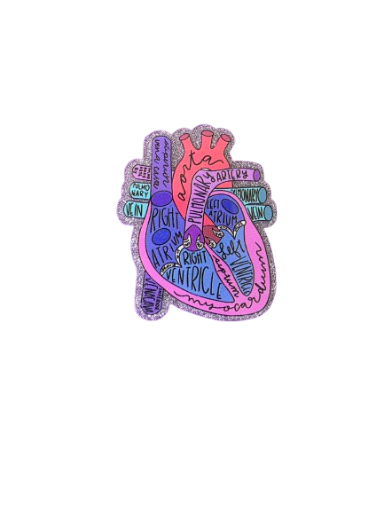 "Anatomy of the Heart" Badge Reel