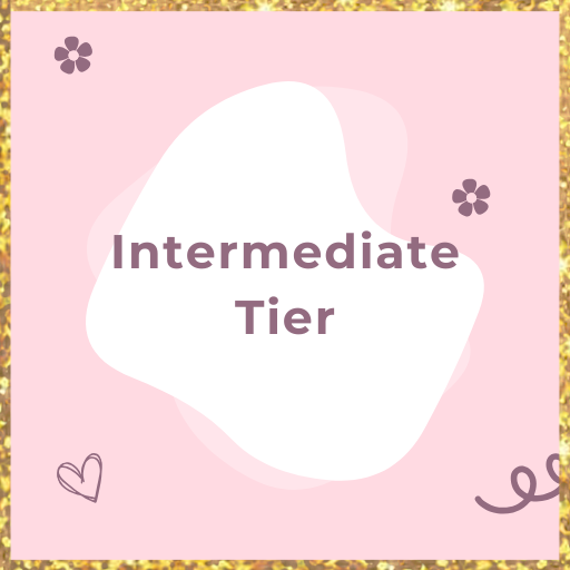 Intermediate Tier (Business Website)